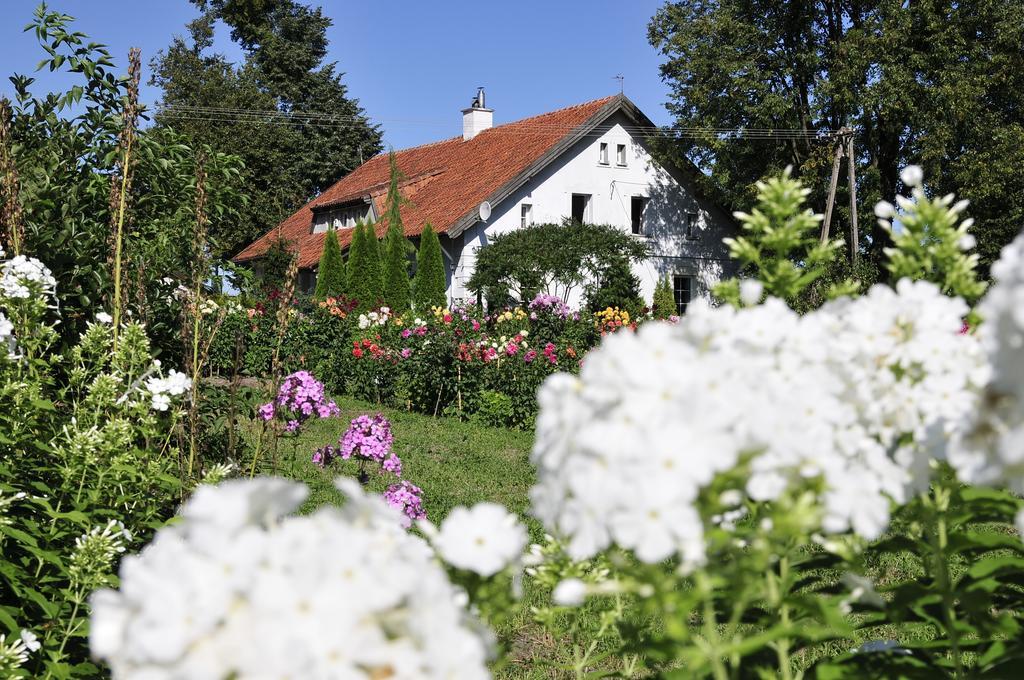 Agroturystyka Orzechowe Wzgorze Orzechowo  Eksteriør billede