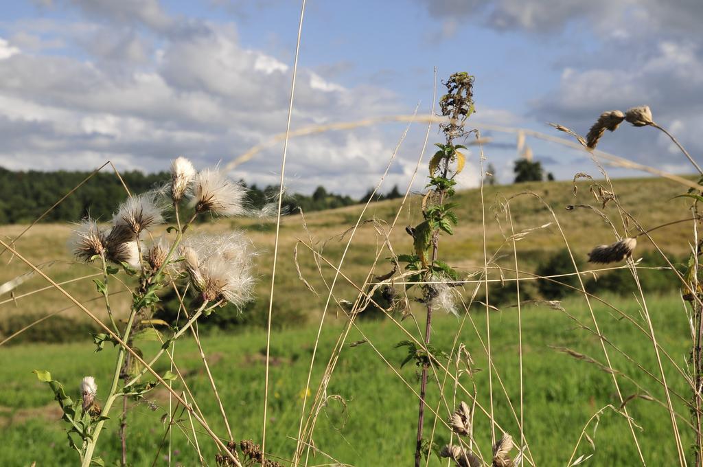 Agroturystyka Orzechowe Wzgorze Orzechowo  Eksteriør billede